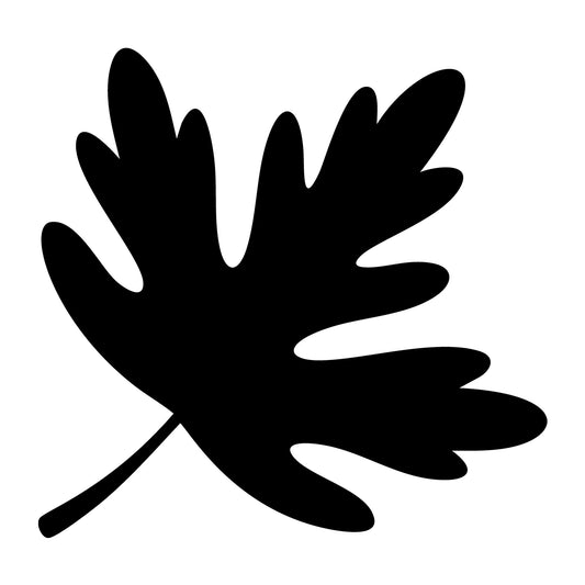 Fall Leaf SVG