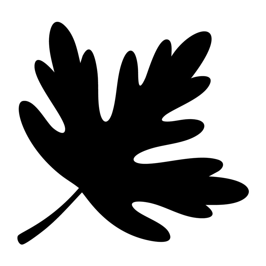 Fall Leaf SVG