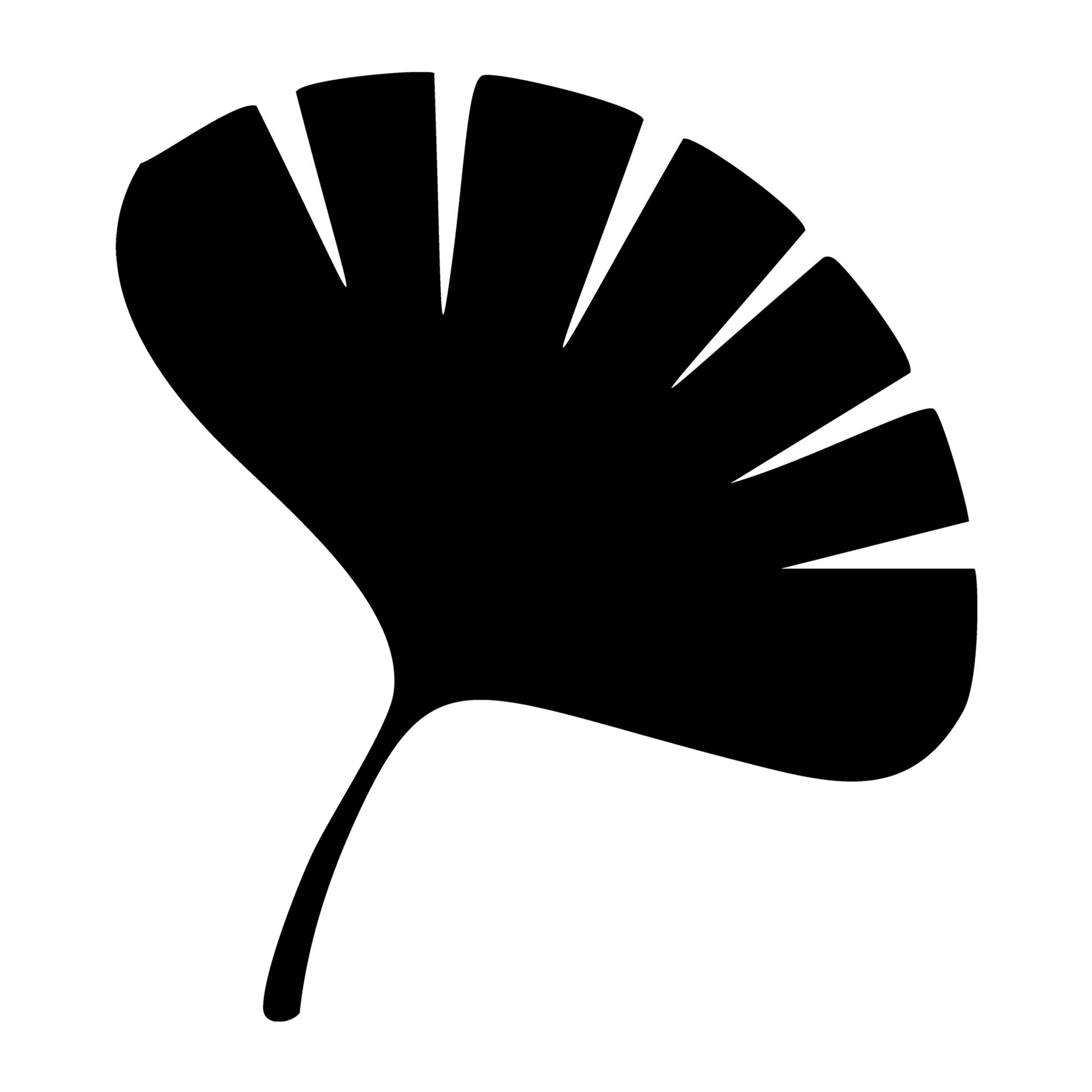Fall Leaf SVG