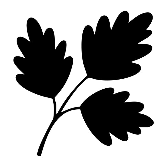 Fall Leaf SVG