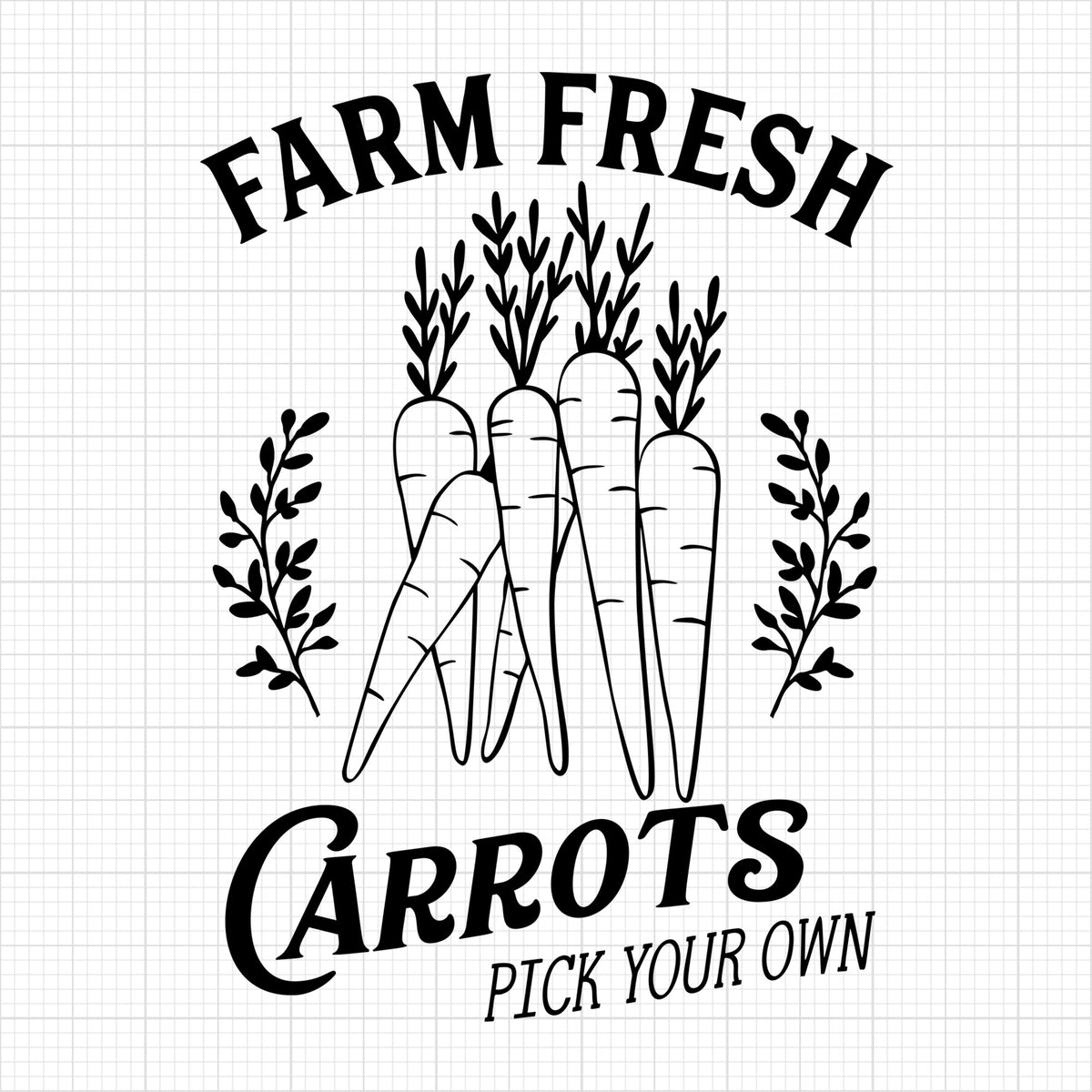 Farm Fresh Carrots