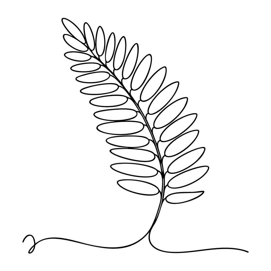 Floral Line Art SVG