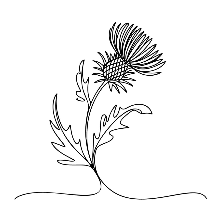 Floral Line Art SVG