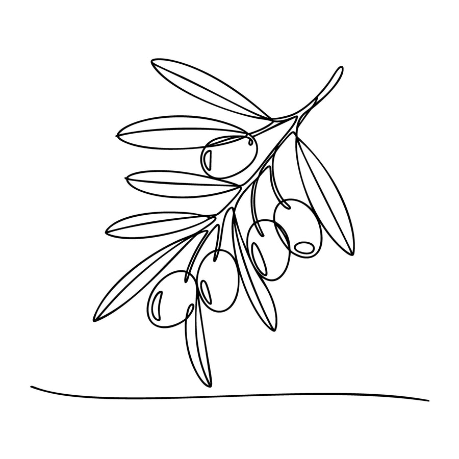 Floral Line Art SVG