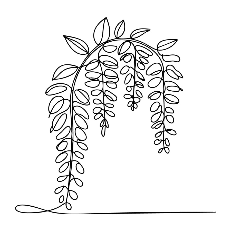 Floral Line Art SVG