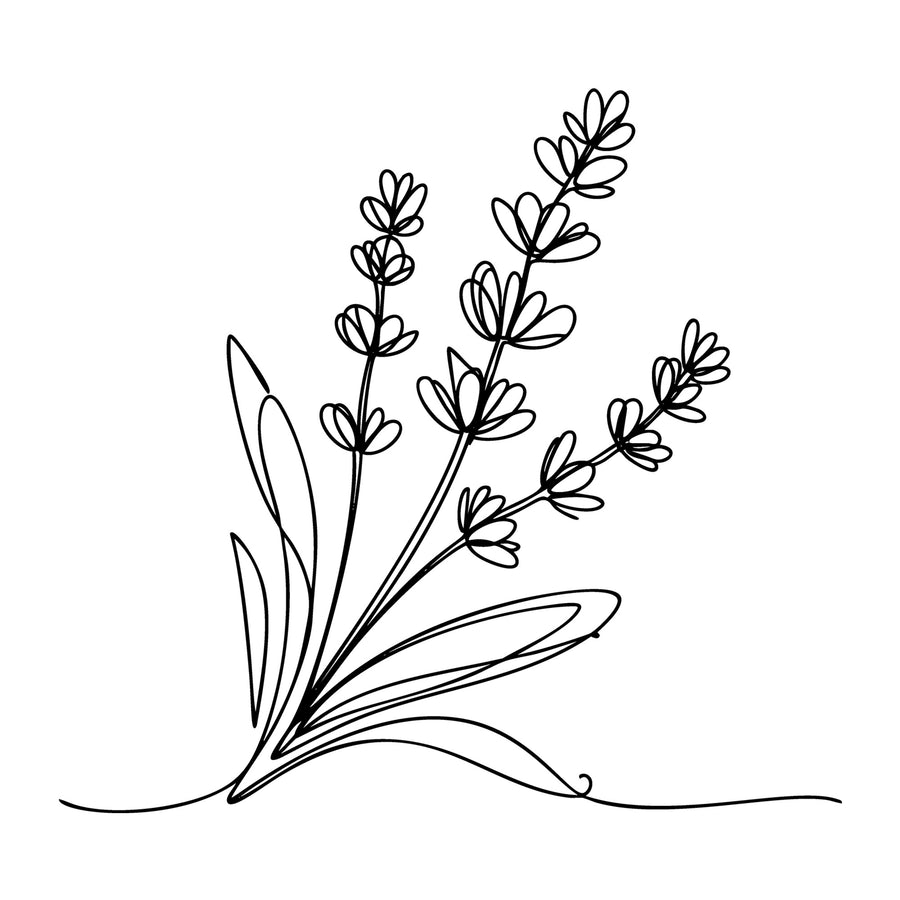 Floral Line Art SVG