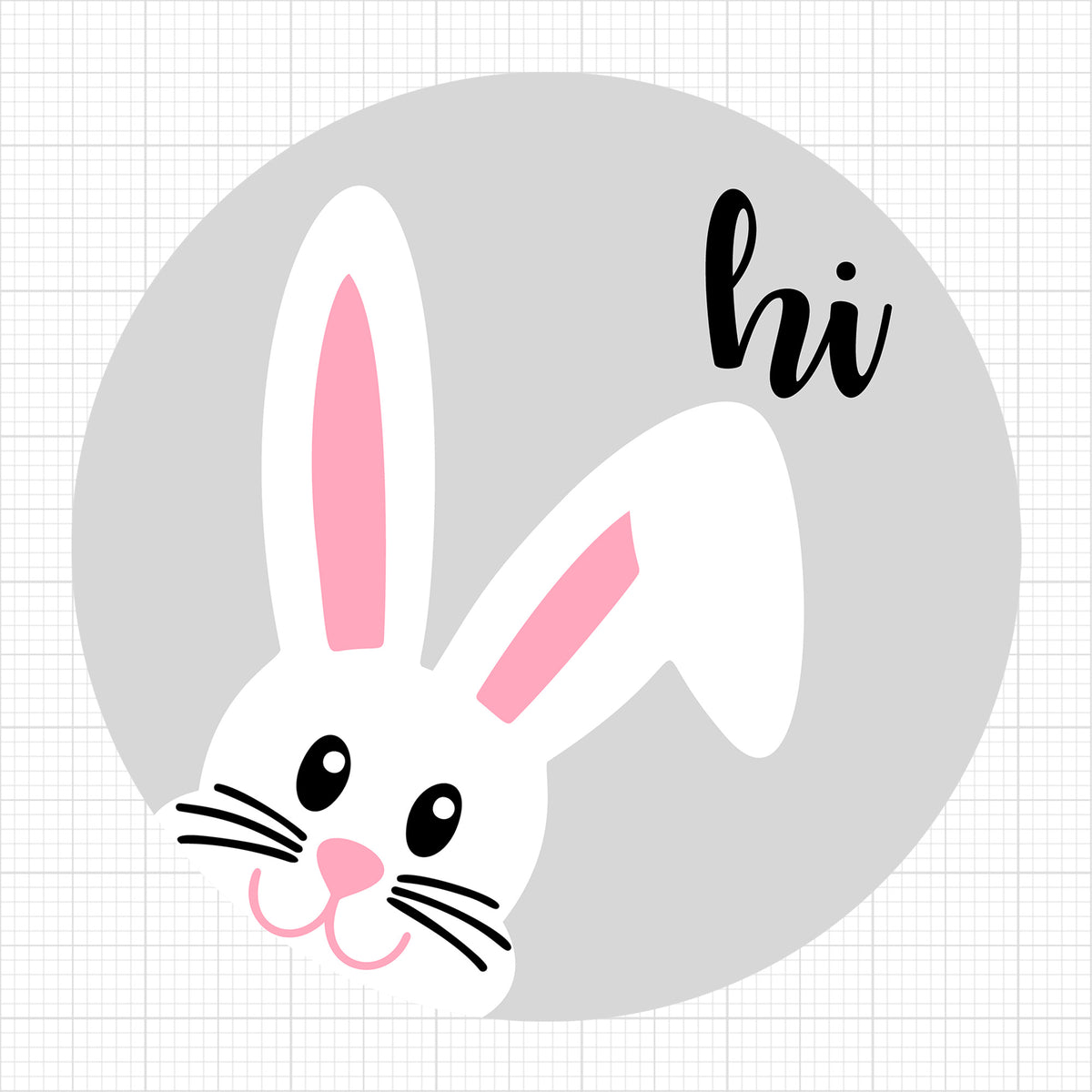 Hi Bunny