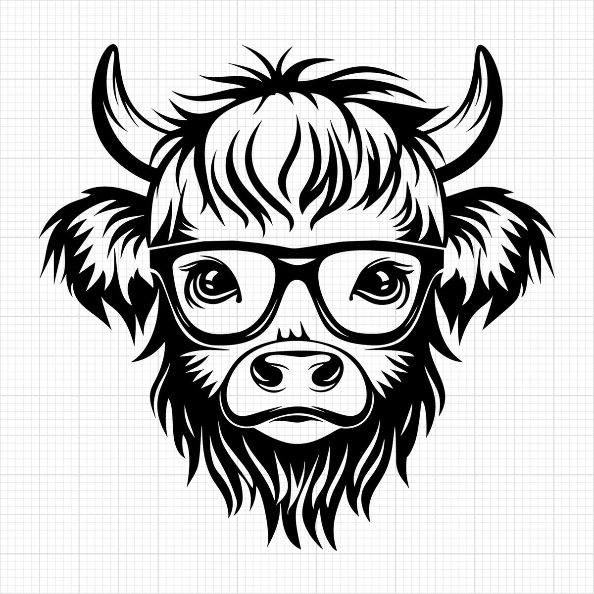 Highland Cow 1