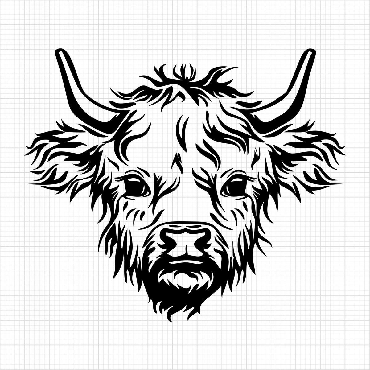 Highland Cow 10