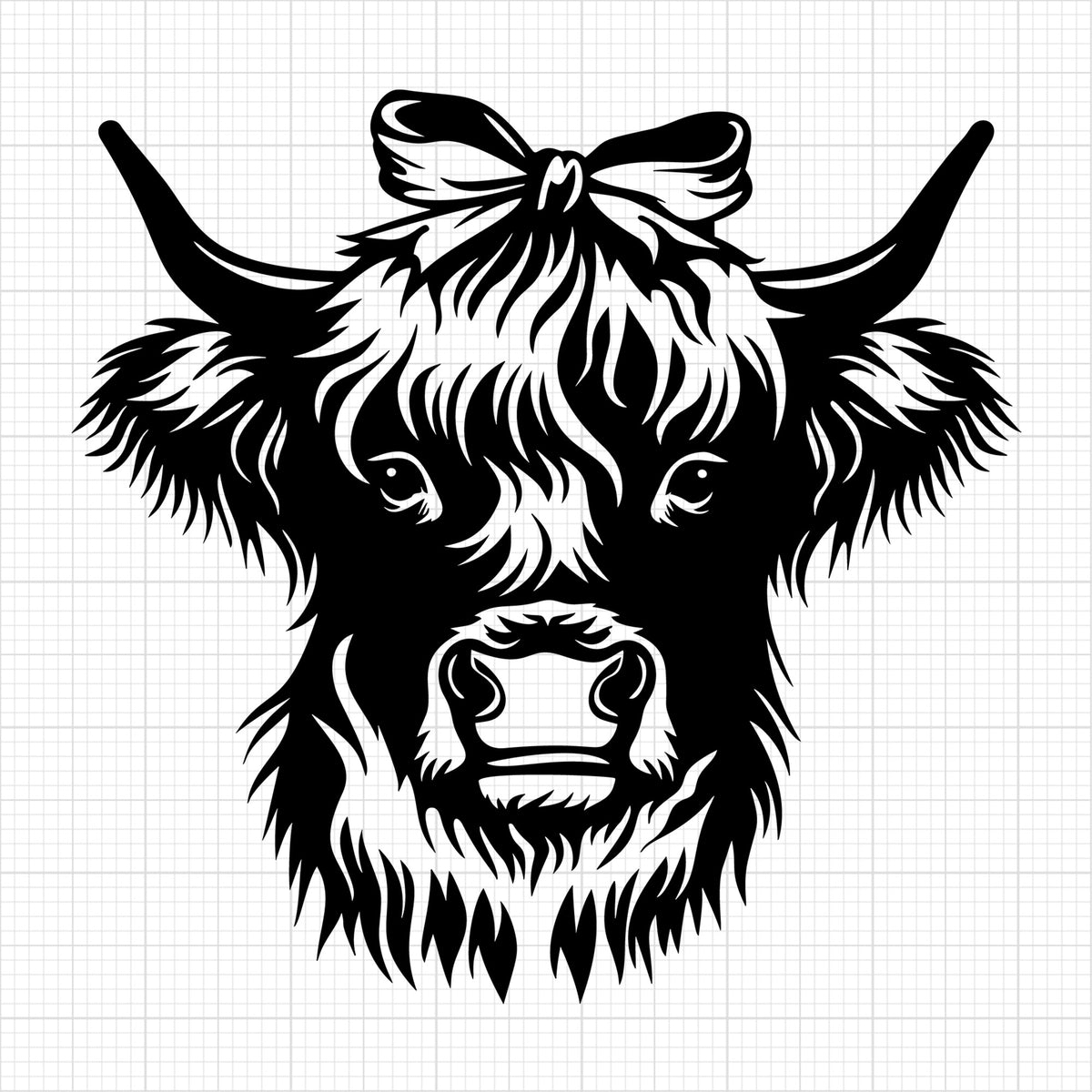 Highland Cow 12