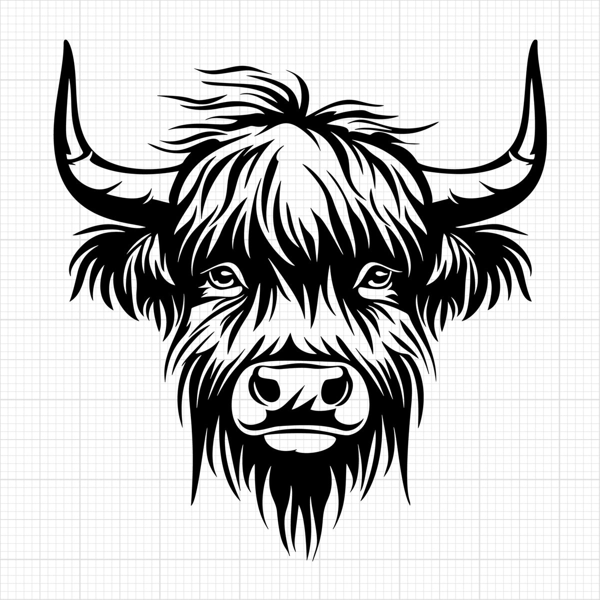 Highland Cow 14
