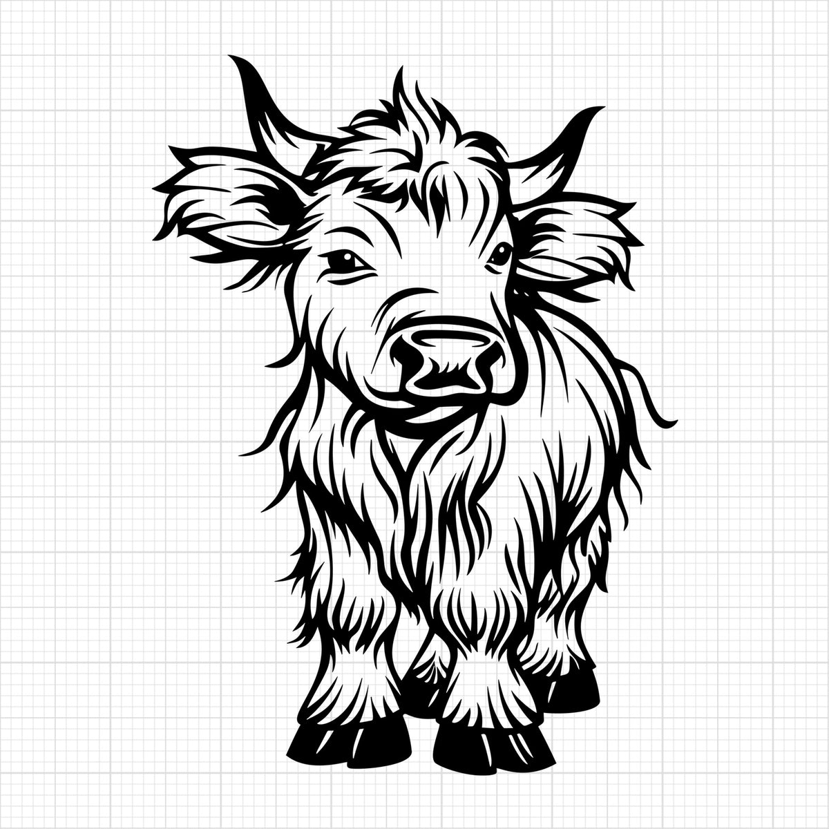 Highland Cow 15