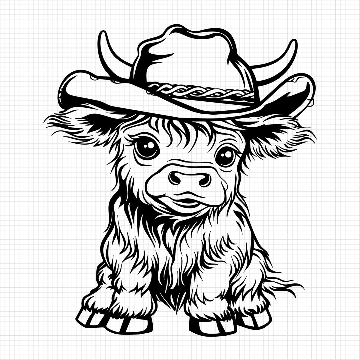 Highland Cow 6