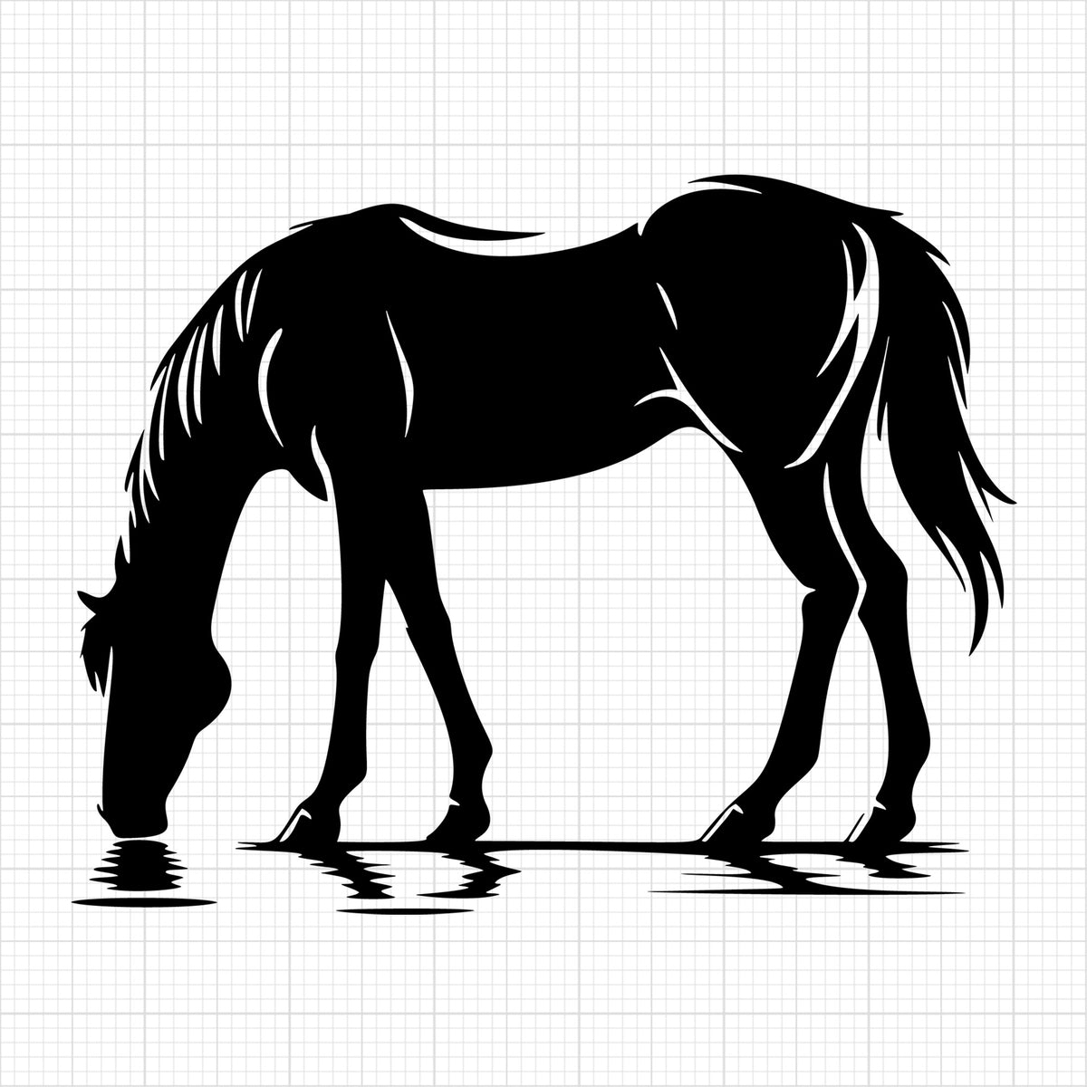 Horse drinking water