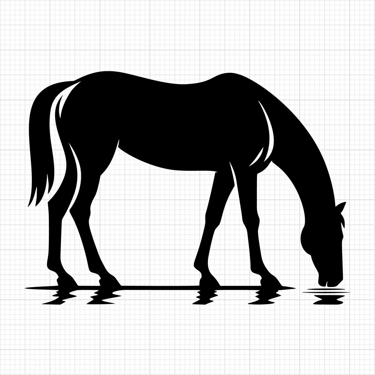 Horse drinking water side view