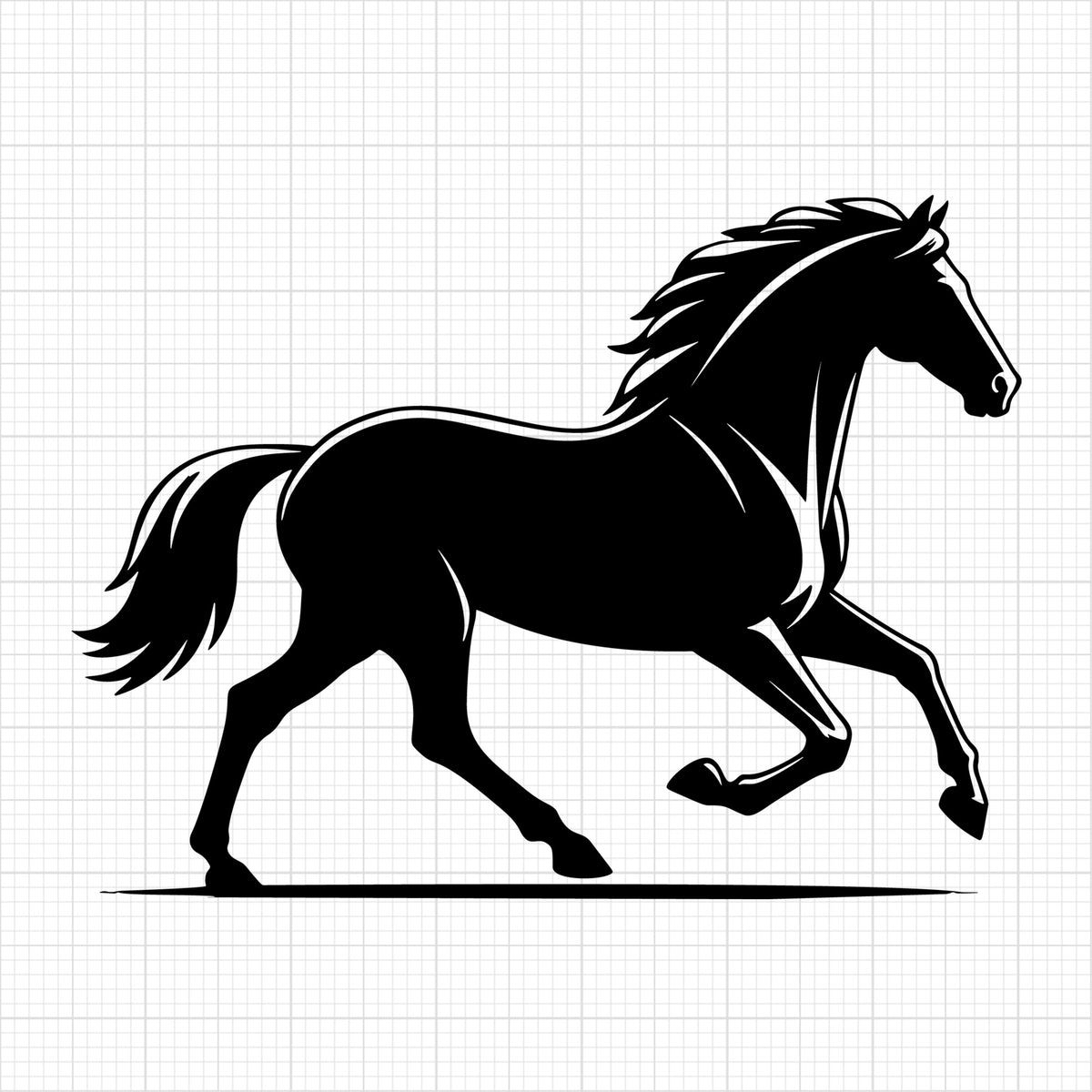 Horse galloping side view