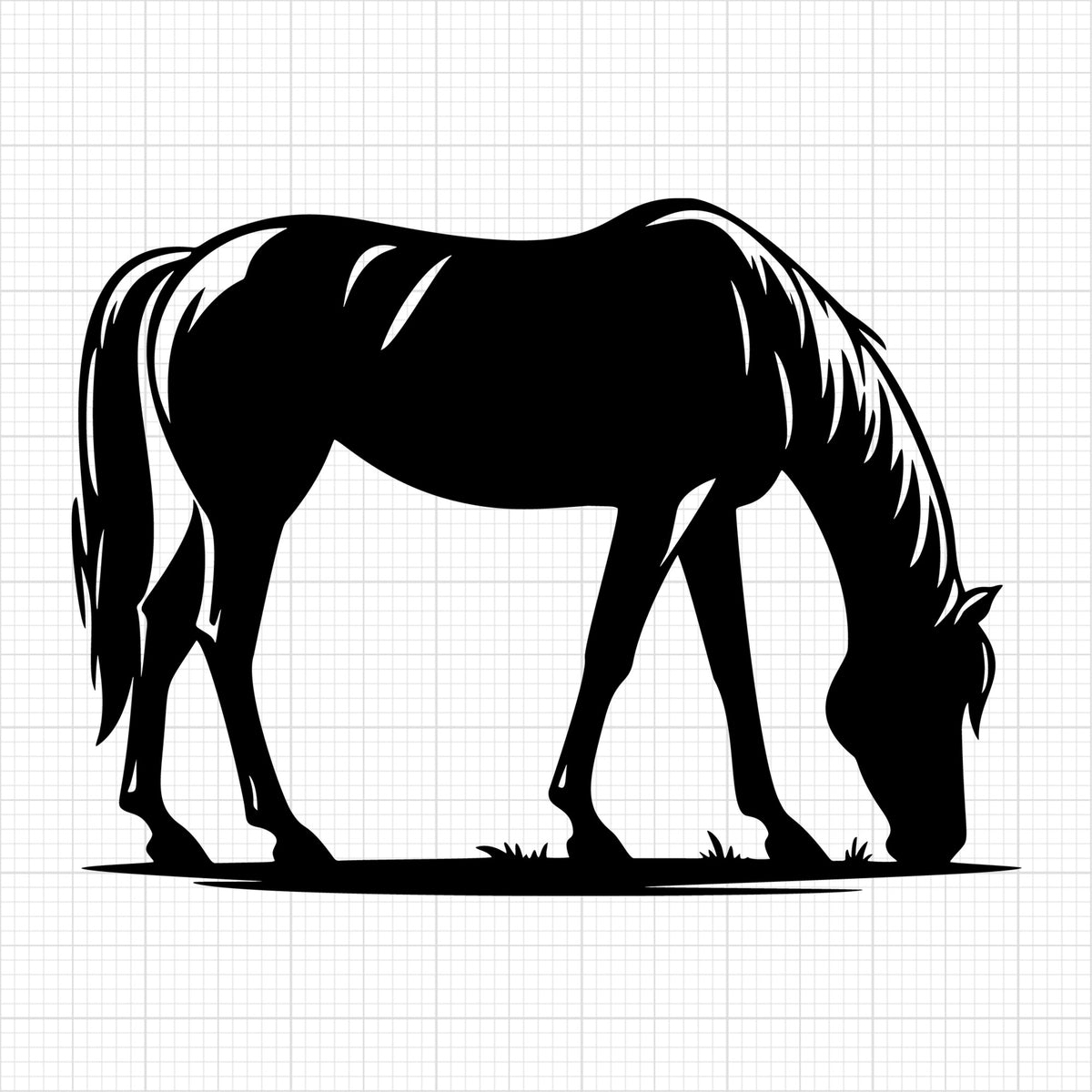 Horse grazing side view