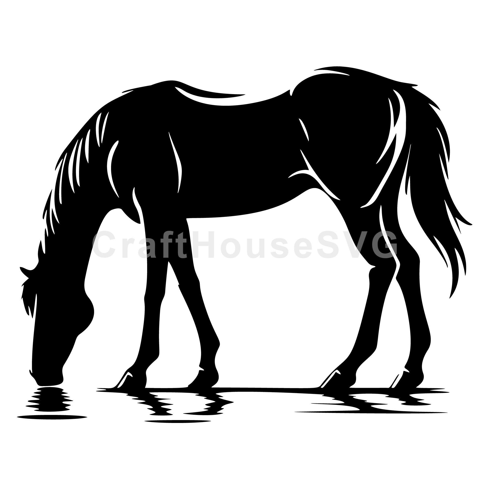 Horse drinking water SVG