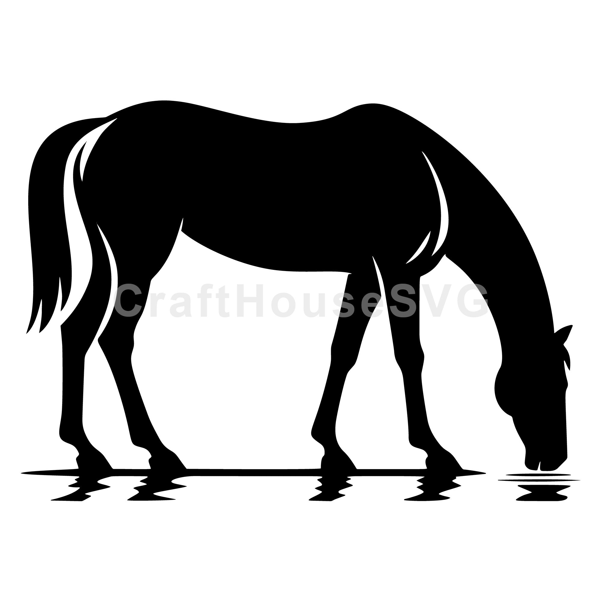 Horse drinking water side view SVG