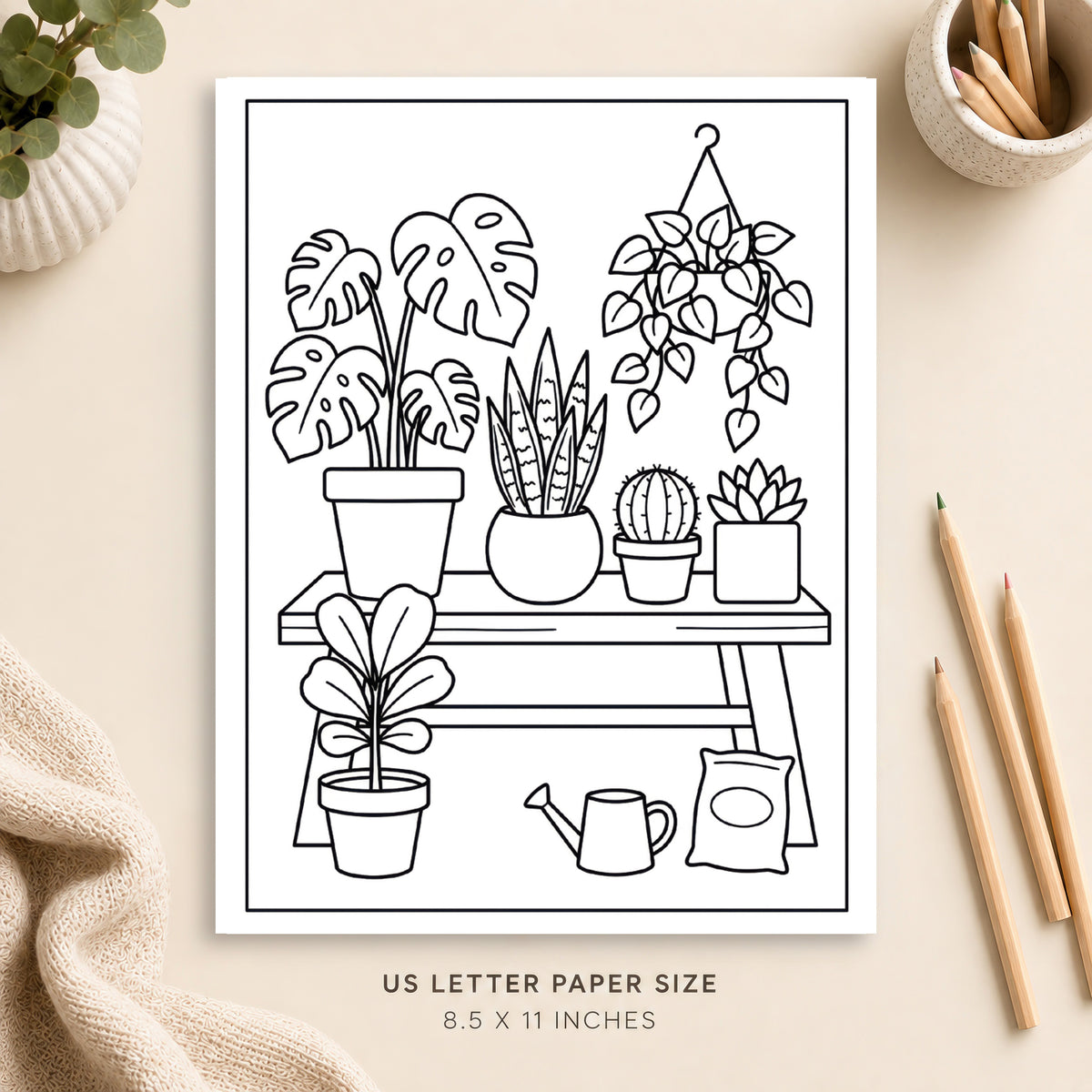 Houseplants Coloring Page 4