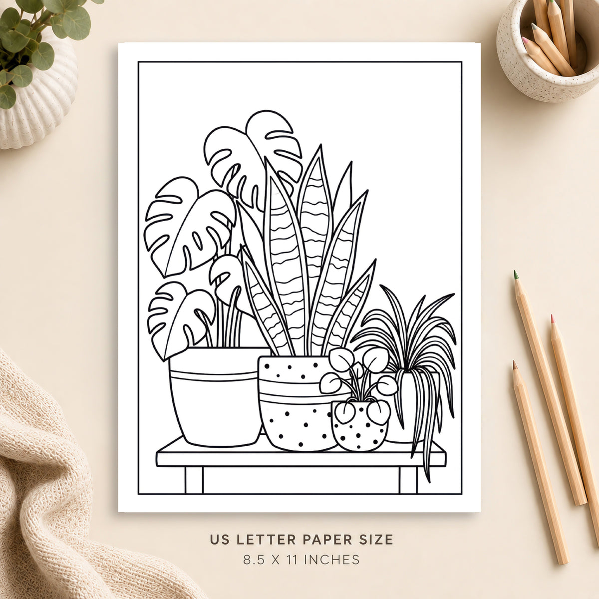 Houseplants Coloring Page 5