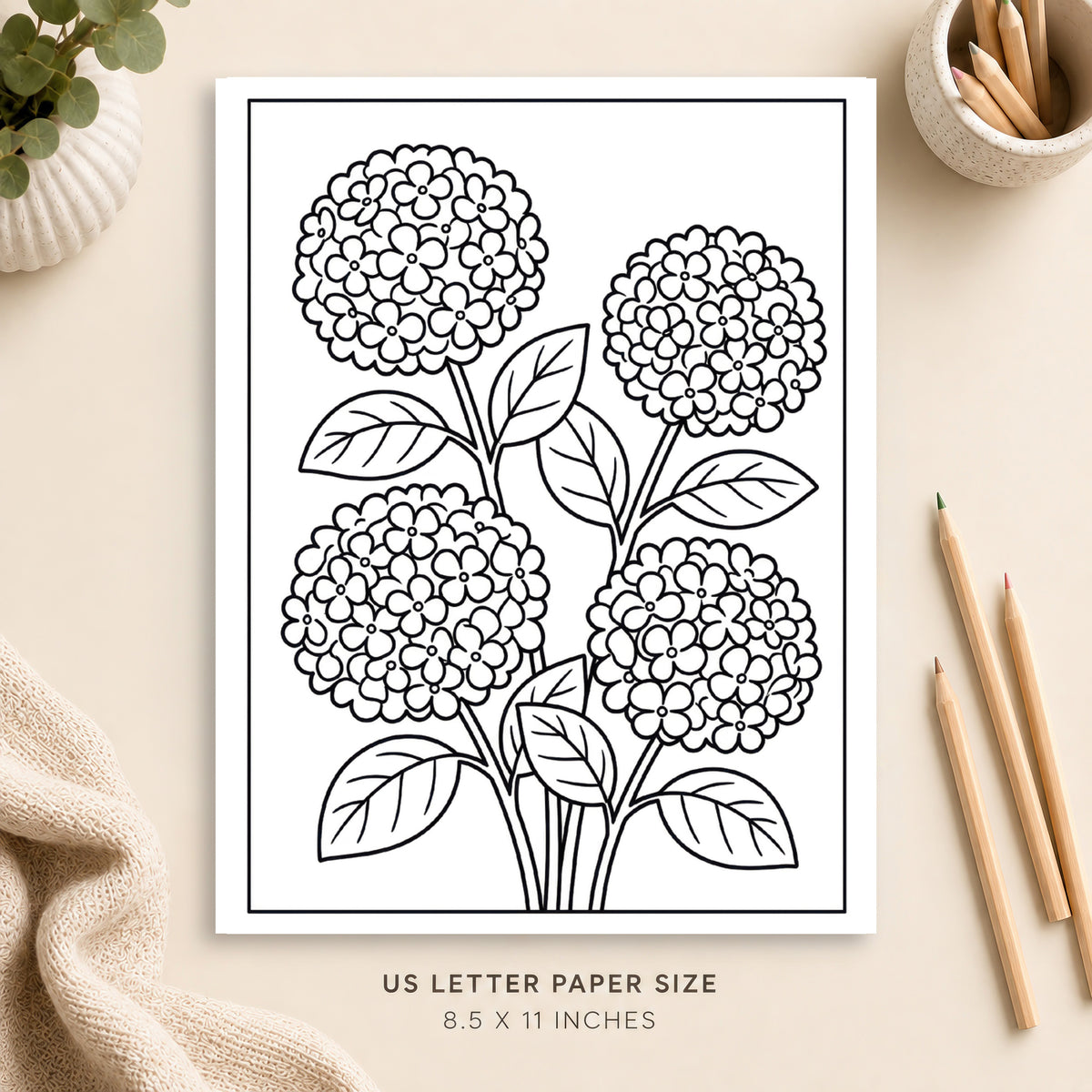 Hydrangeas Coloring Page 1