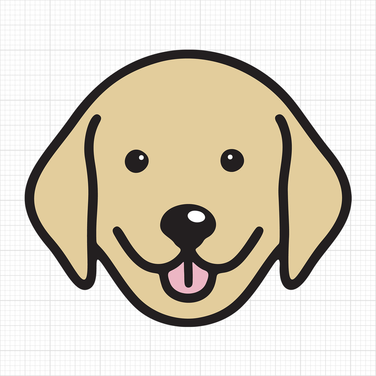 Labrador Puppy