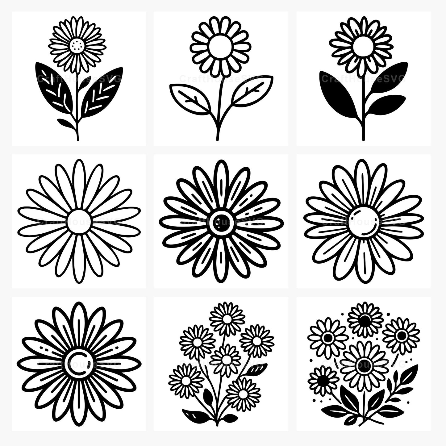 Daisy SVG Bundle
