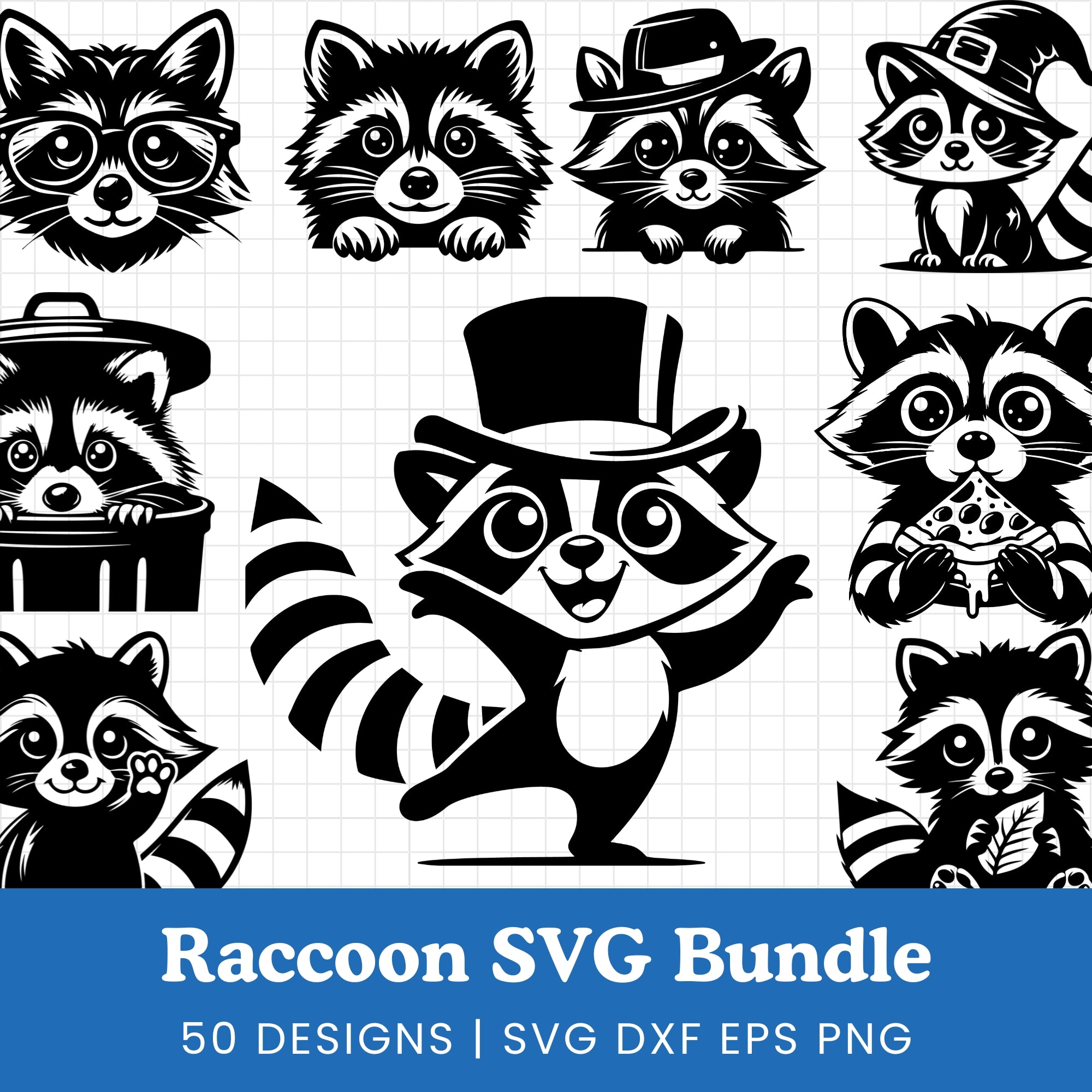 Raccoon SVG Bundle