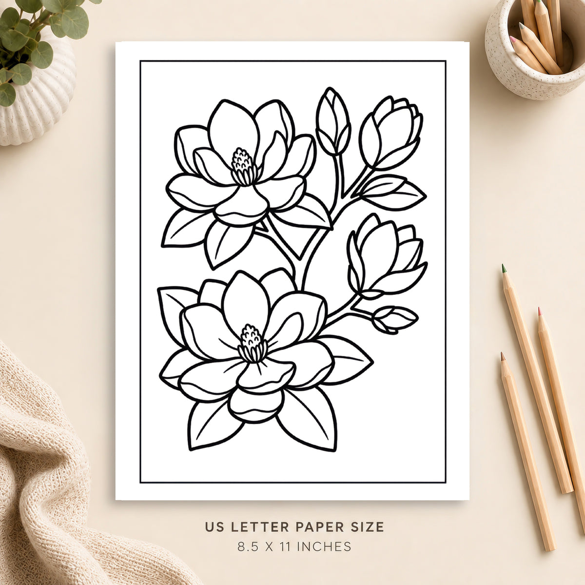 Magnolia Flowers Coloring Page 3