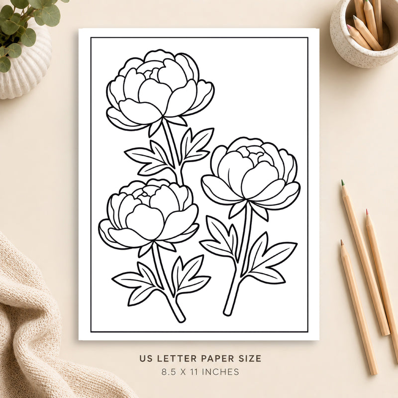 Peonies Coloring Page 2