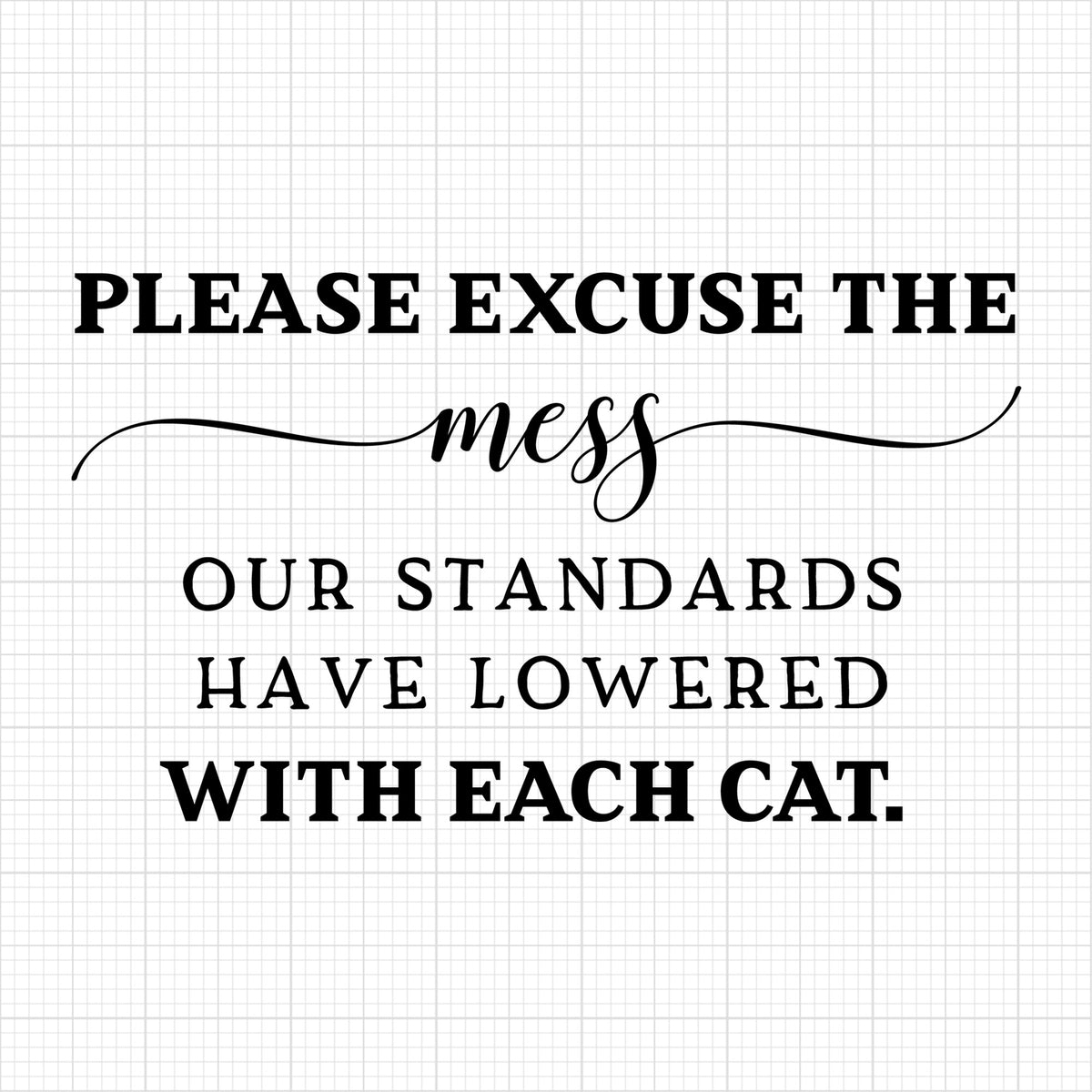 Please excuse the mess cat