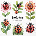 Ladybug Clipart Sublimation Bundle PNG - Craft House SVG