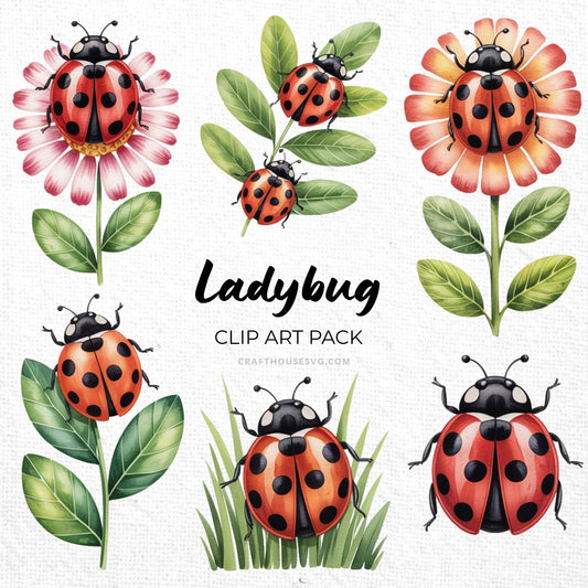 Ladybug Clipart Sublimation Bundle PNG