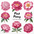 Pink Peony Clipart Sublimation Bundle PNG - Craft House SVG