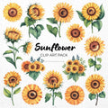 Sunflower Clipart Sublimation Bundle PNG - Craft House SVG