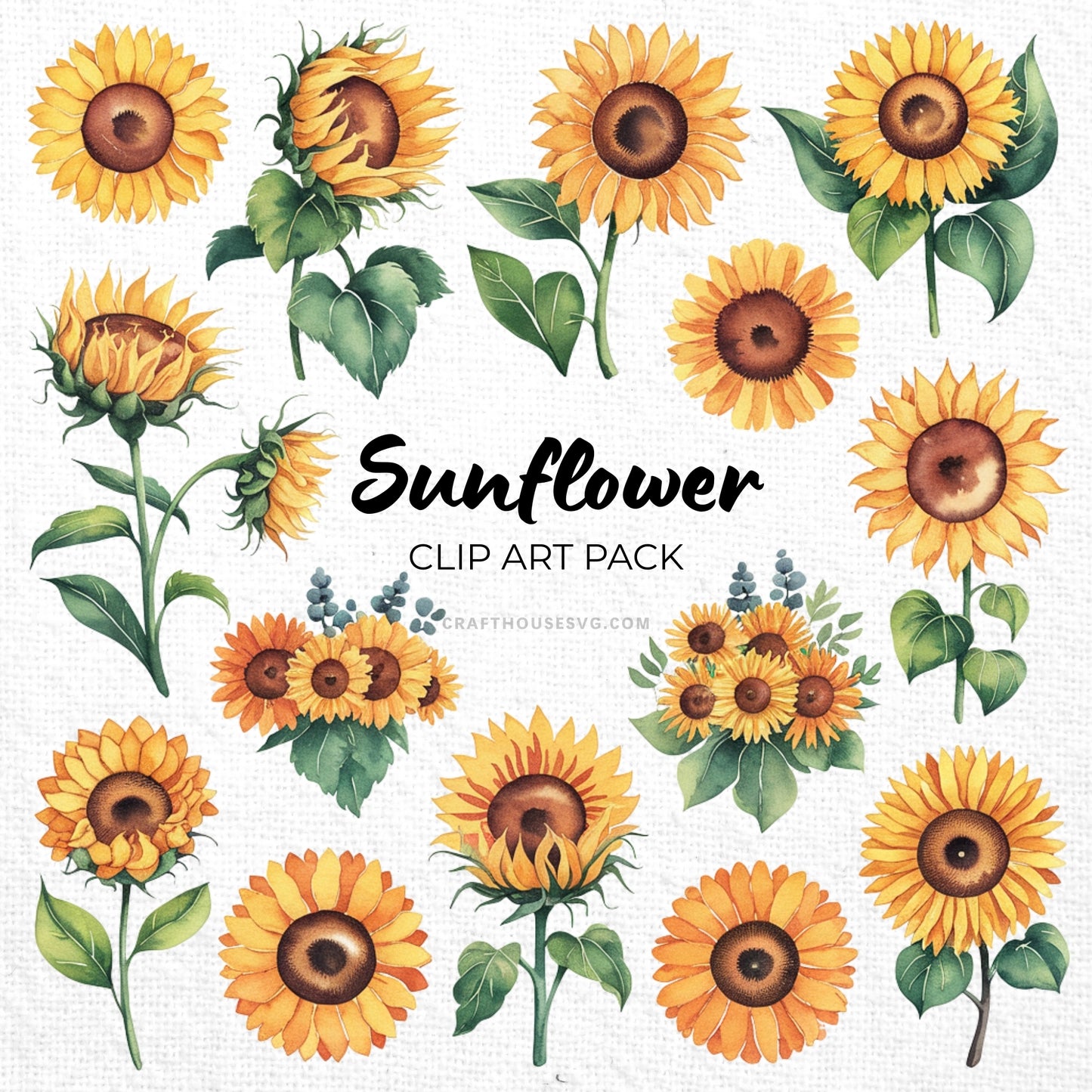Sunflower Clipart Sublimation Bundle PNG