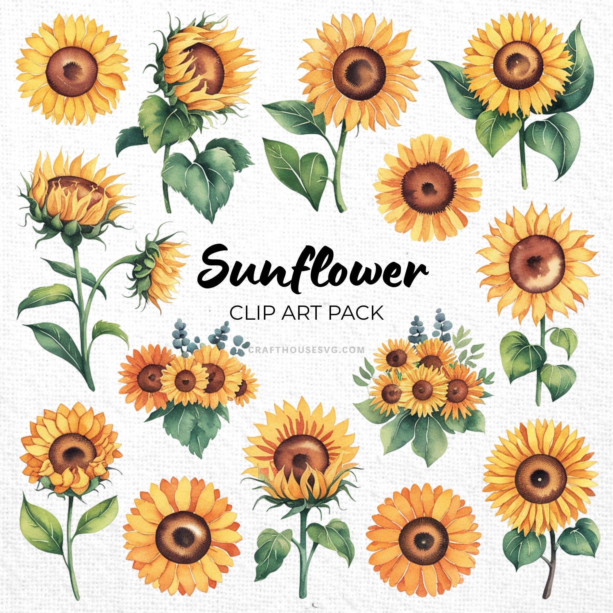 Sunflower Clipart Sublimation Bundle PNG