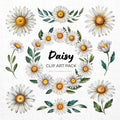 Daisy Clipart Sublimation Bundle PNG - Craft House SVG