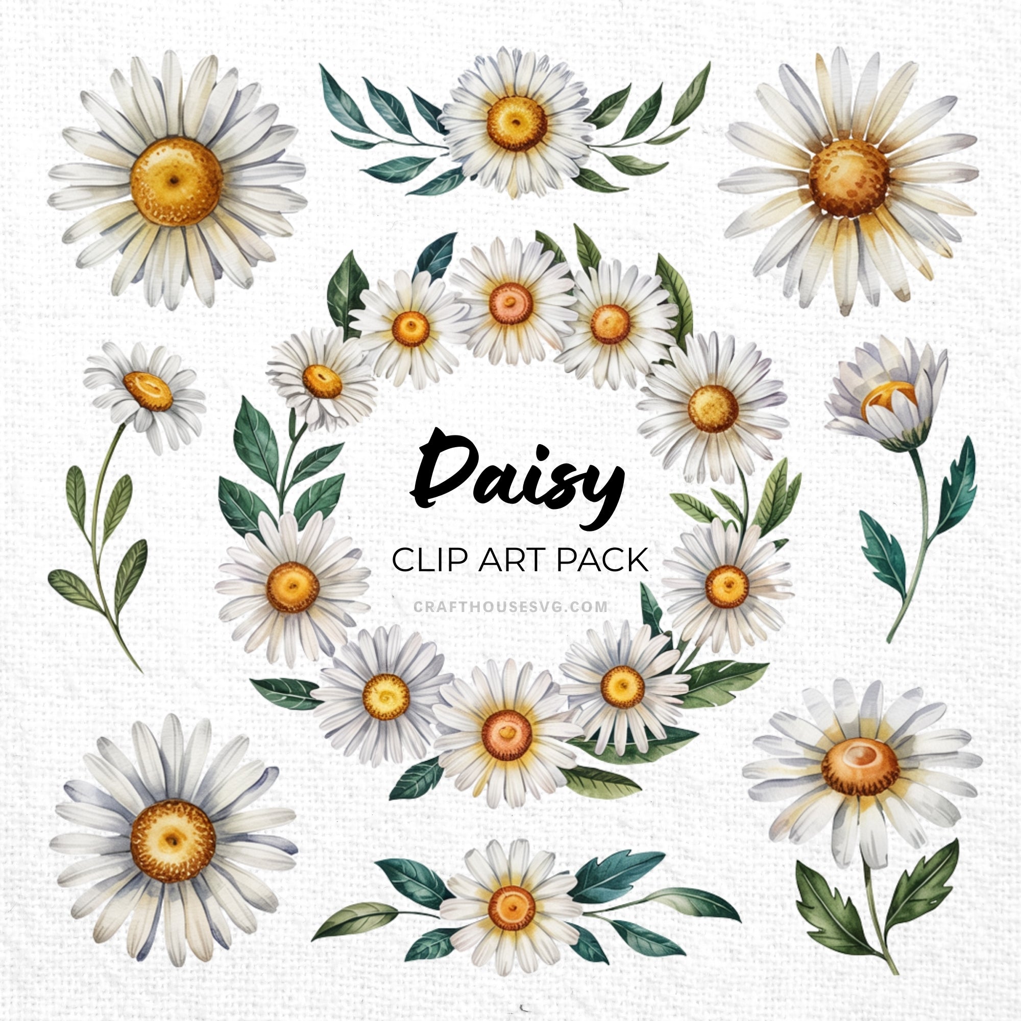 Daisy Clipart Sublimation Bundle PNG