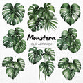 Monstera Clipart Sublimation Bundle PNG - Craft House SVG