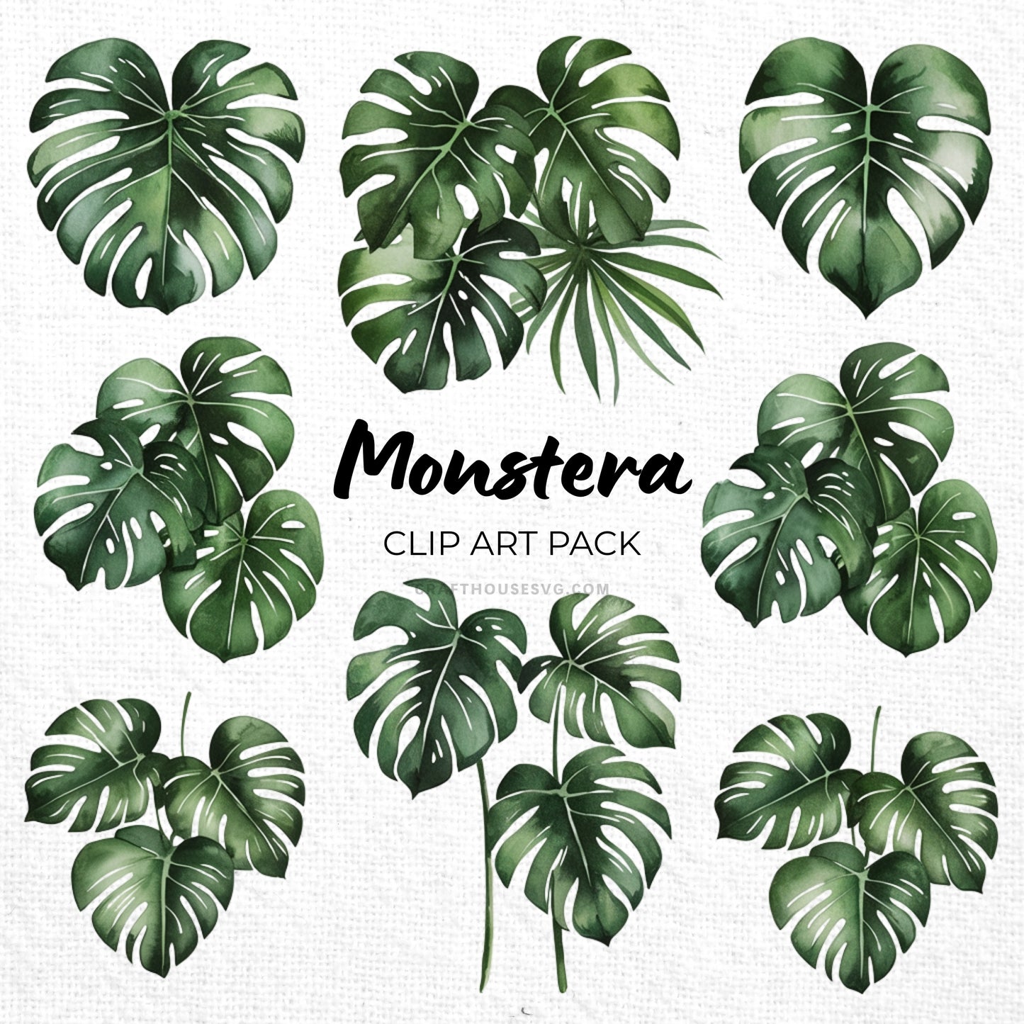 Monstera Clipart Sublimation Bundle PNG