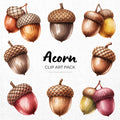 Acorn Clipart Sublimation Bundle PNG - Craft House SVG