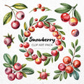 Snowberry Clipart Sublimation Bundle PNG - Craft House SVG