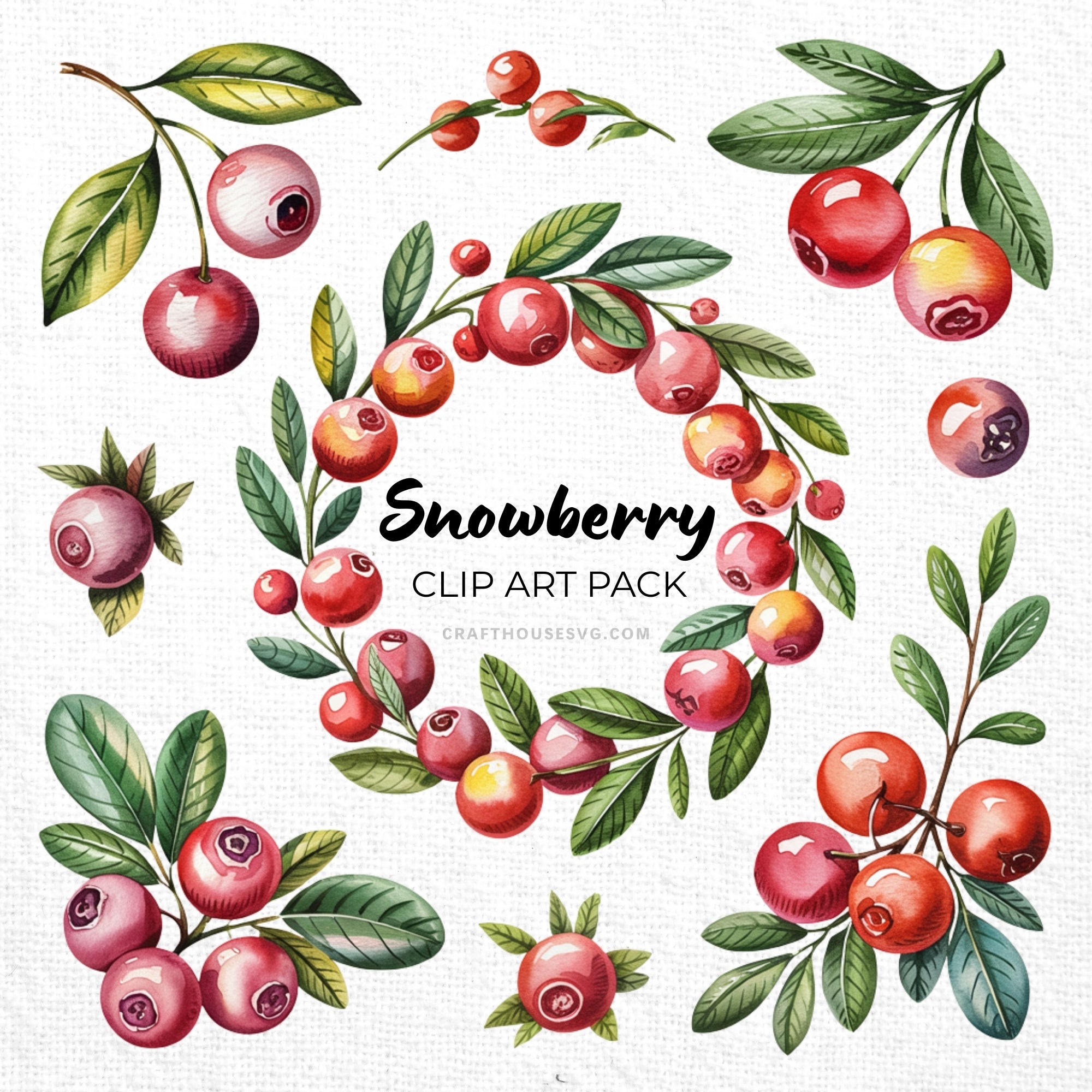 Snowberry Clipart Sublimation Bundle PNG