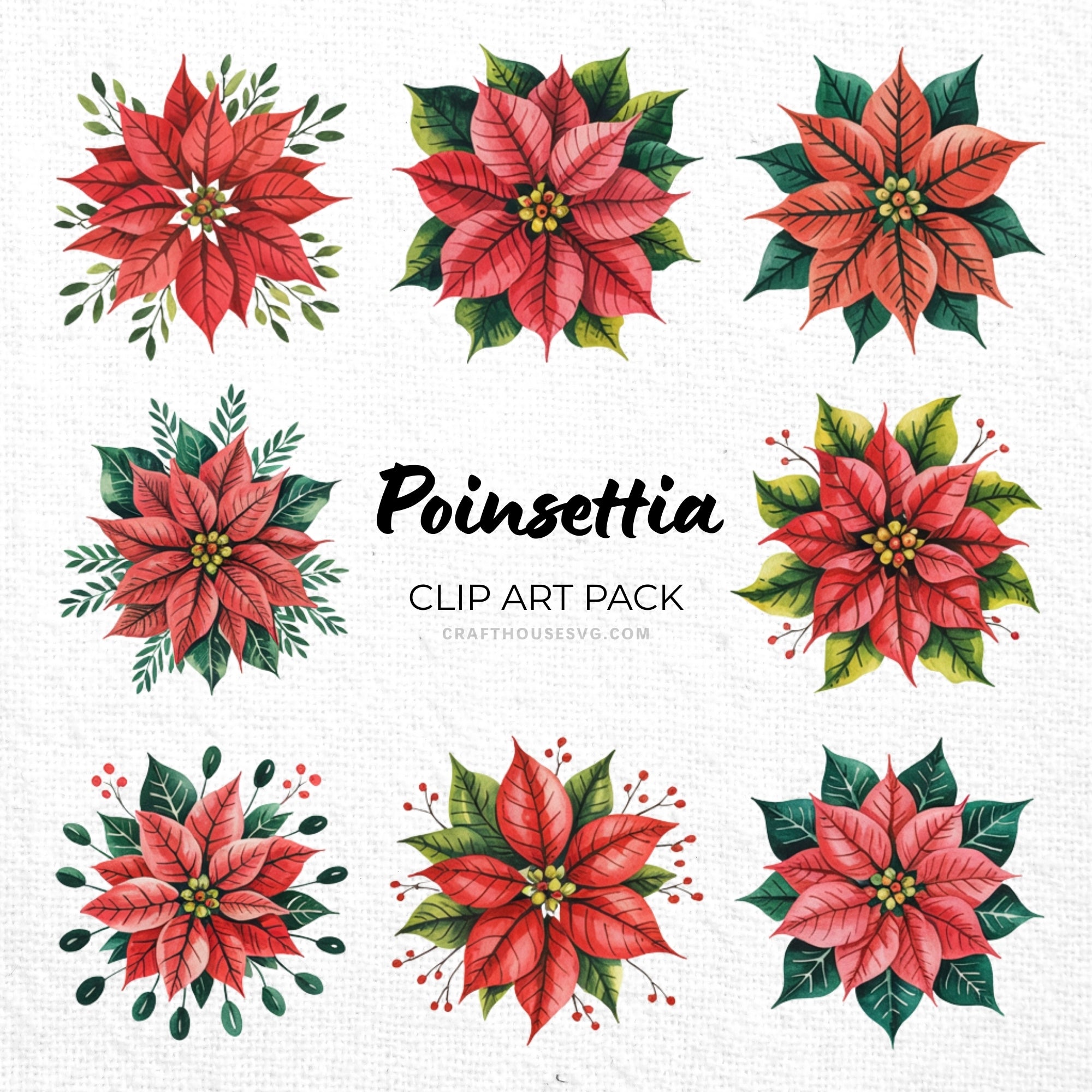 Poinsettia Clipart Sublimation Bundle PNG