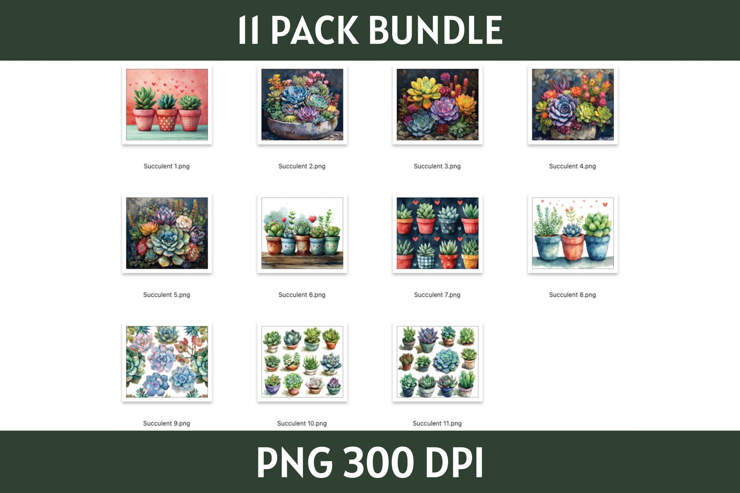 Succulent Tumbler Sublimation Bundle PNG 20 oz
