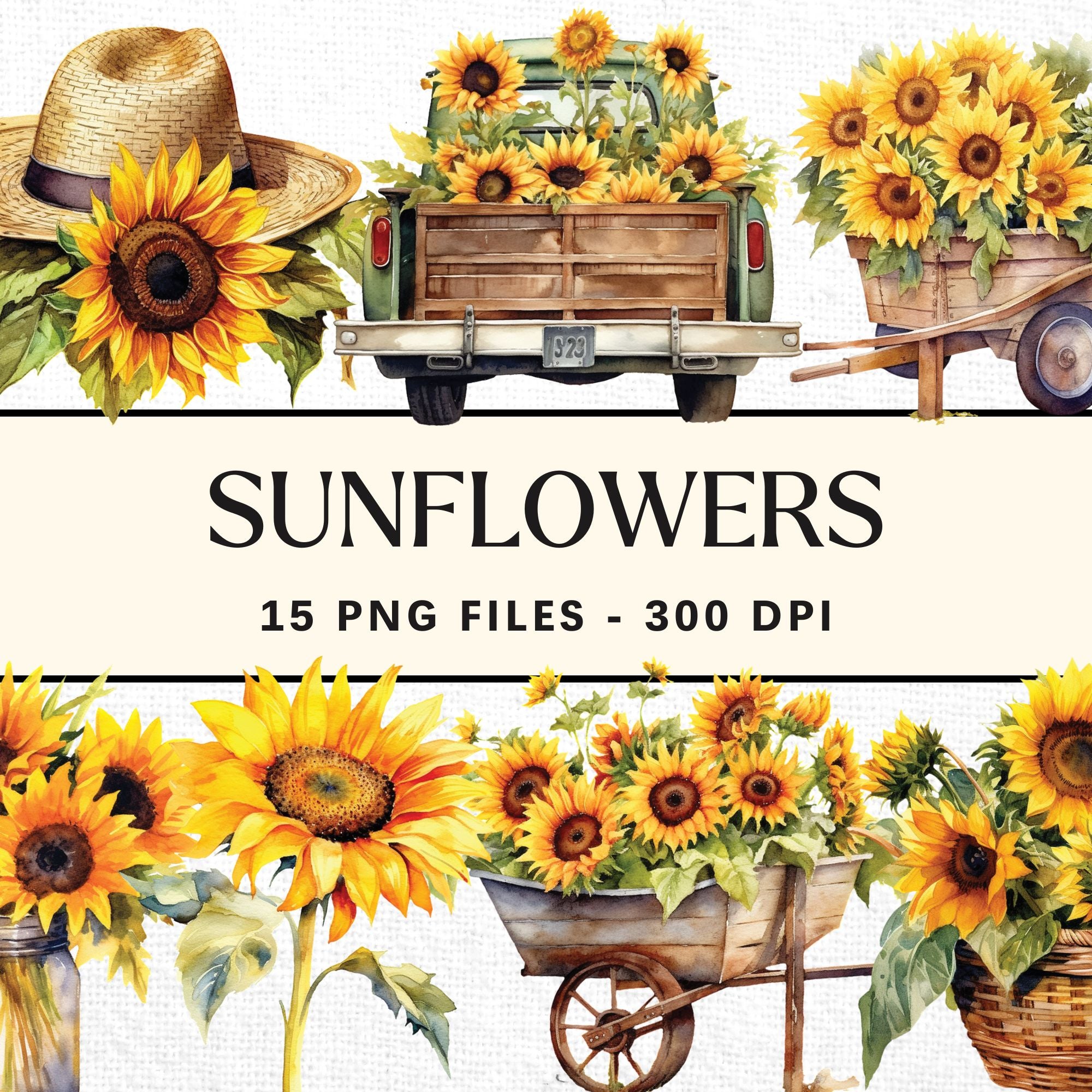 Watercolor Sunflower Sublimation Bundle Clipart Designs PNG