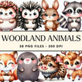 Woodland Animals Clipart Sublimation Bundle