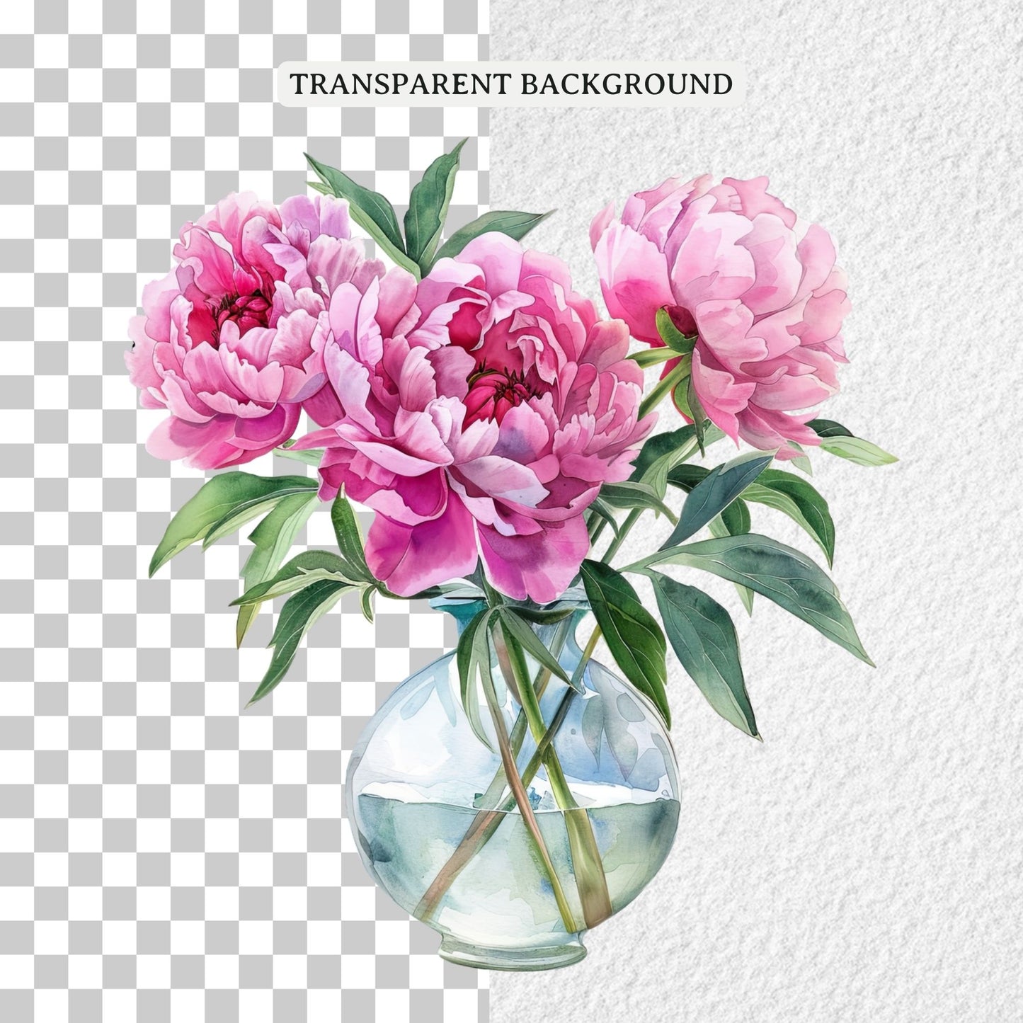 Pink Peony Clipart Sublimation Bundle